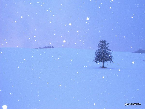 アートフレーム 飾る