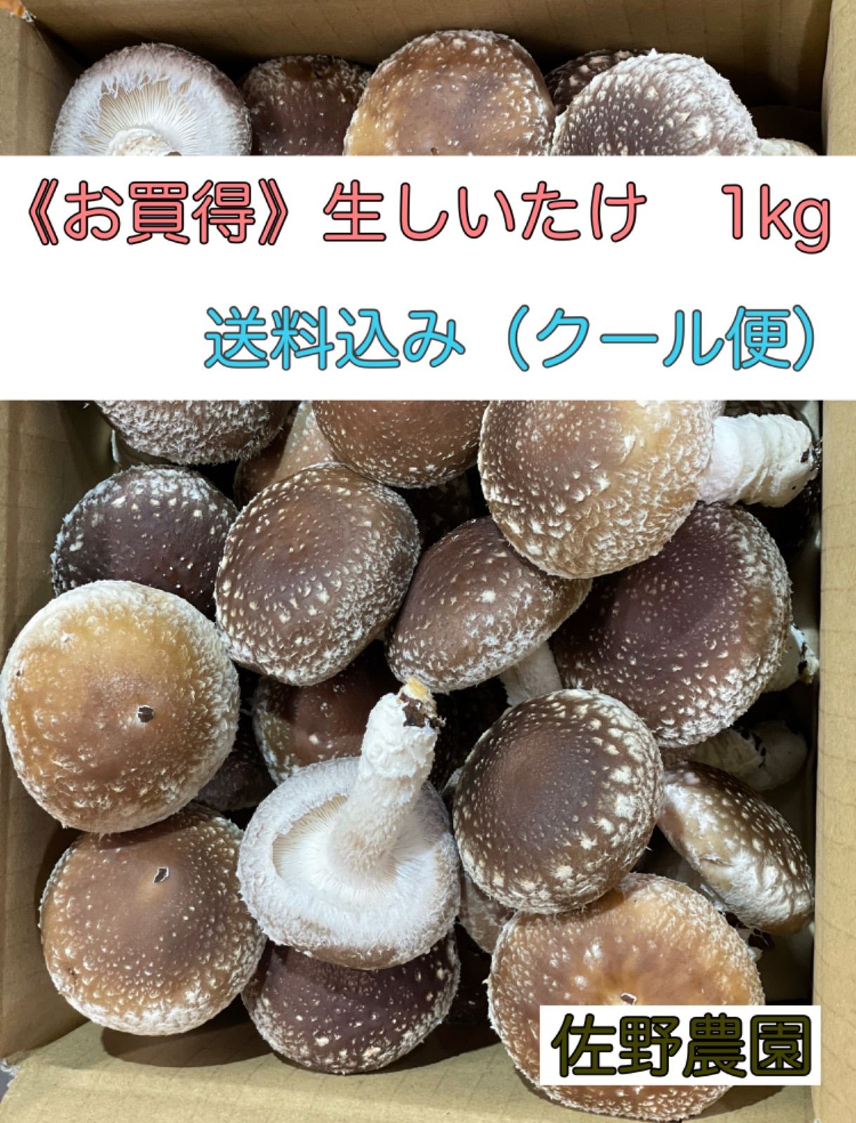 メルカリshops 生シイタケ お得用 送料込み クール便 1kg