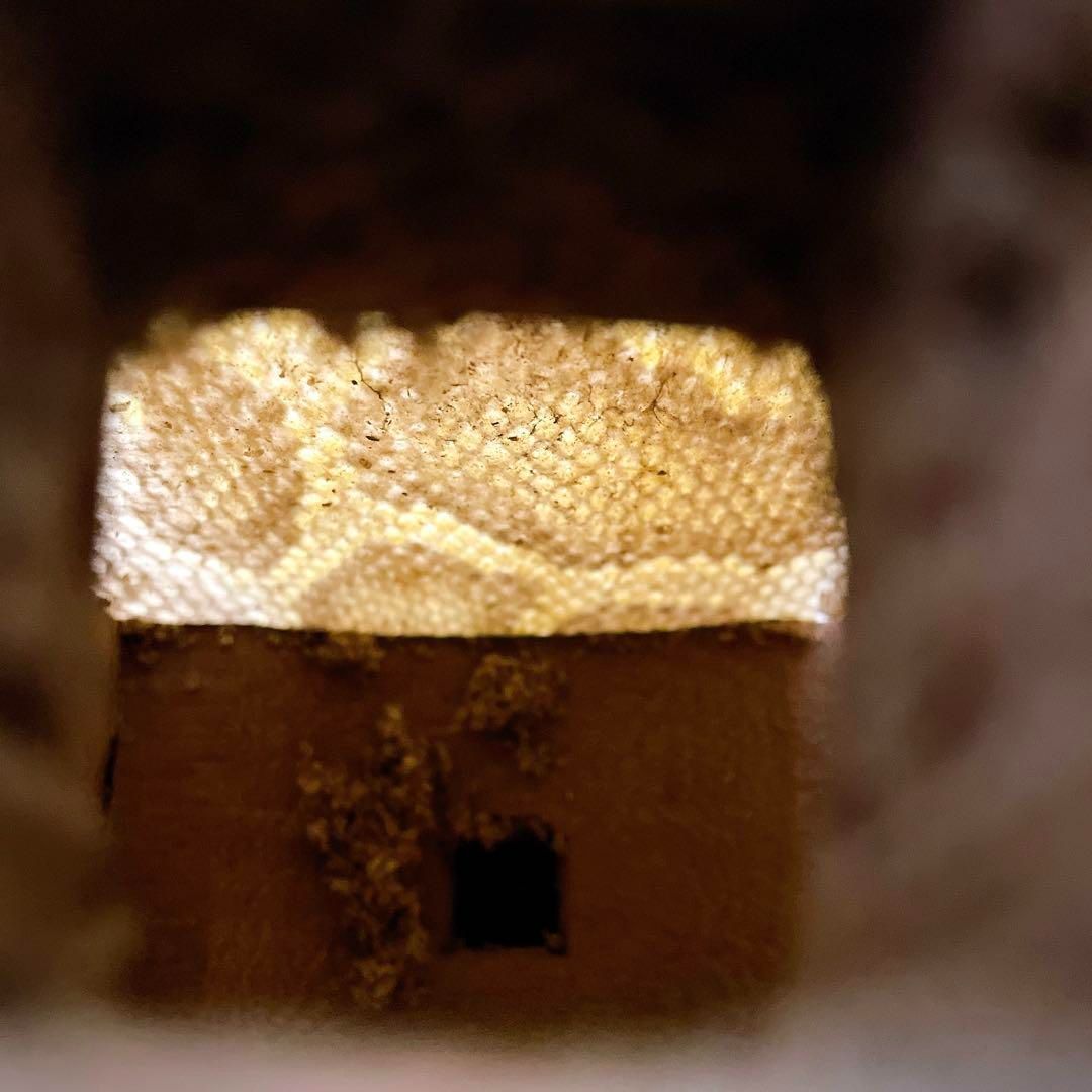 蛇皮 沖縄三味線