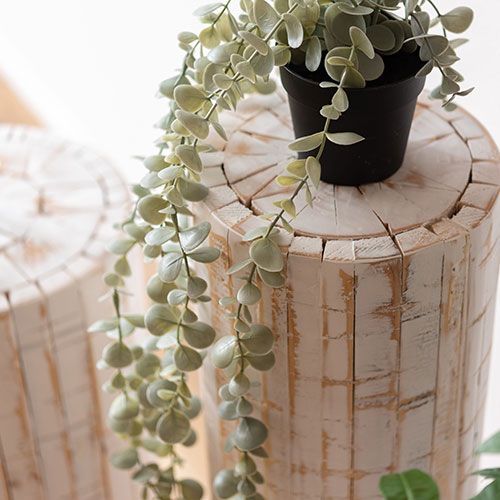 東谷 グリーンベース ホワイト GUY-926WH