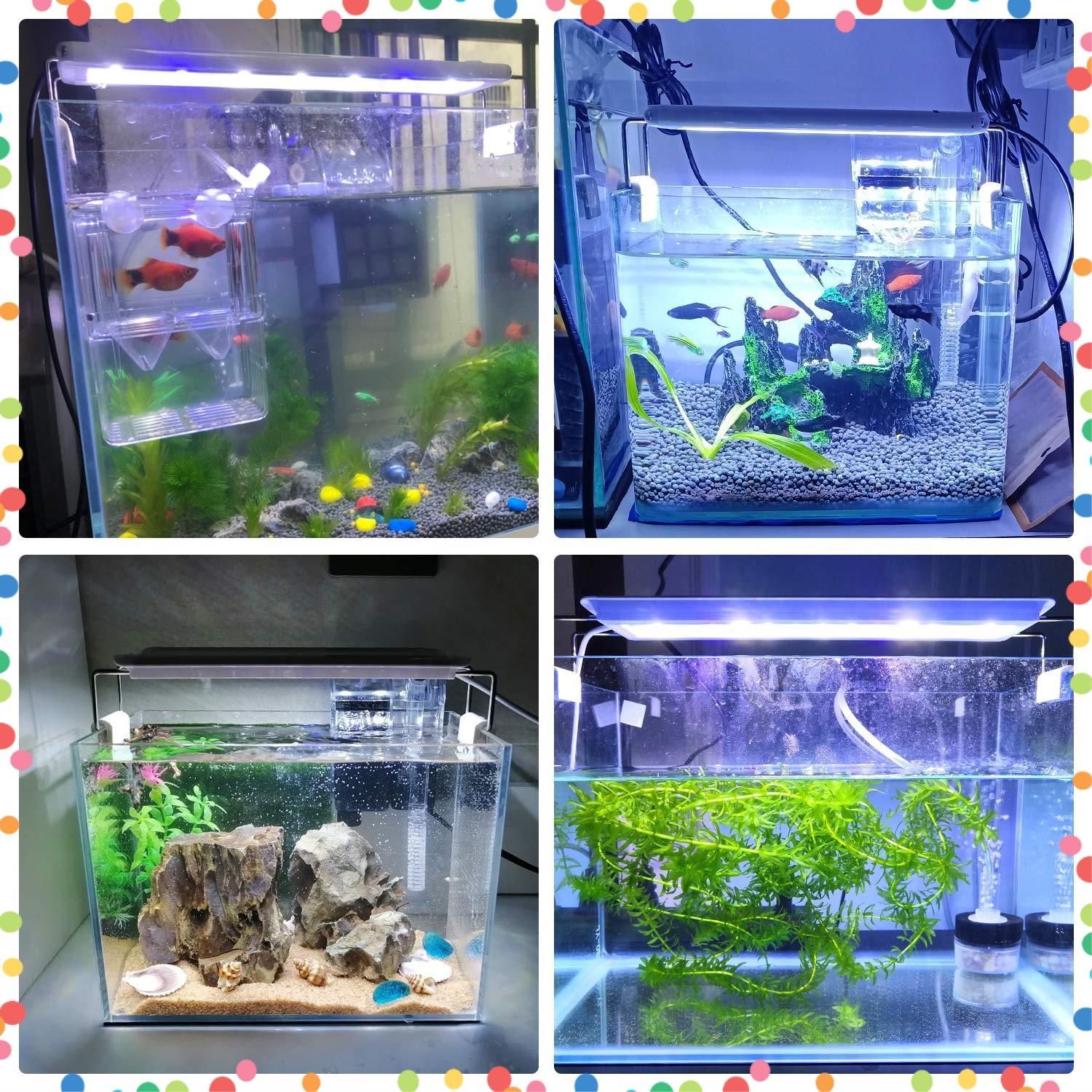 【在庫セール】アクアリウム ライト 8W 30～40CM水槽対応 40LED(5青35白) 水槽ライト LED 魚ライト LEDGLE 水槽照明・水草育成・観賞魚飼育