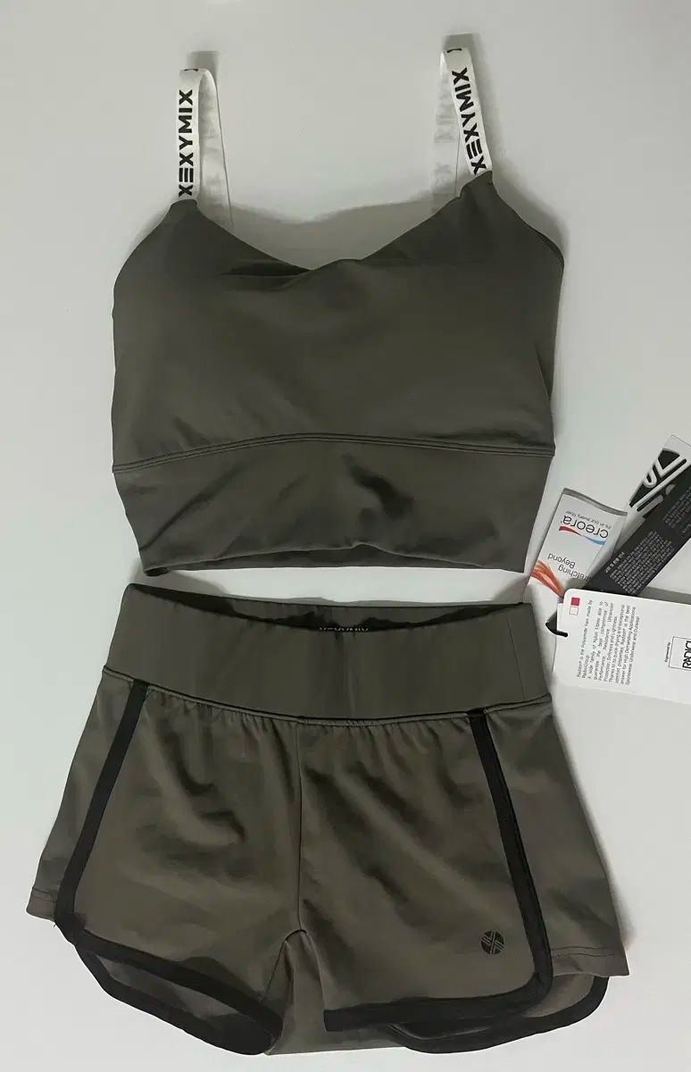 ギベオン隕石の値段と価格推移は？｜55件の売買データからギベオン隕石