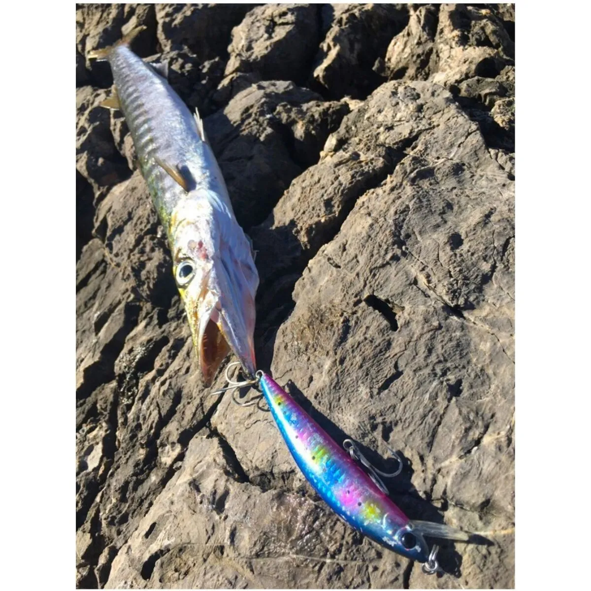 ルアー4種（ミノー）シーバス 青物 ルアー4種（ミノー）シーバス 青物