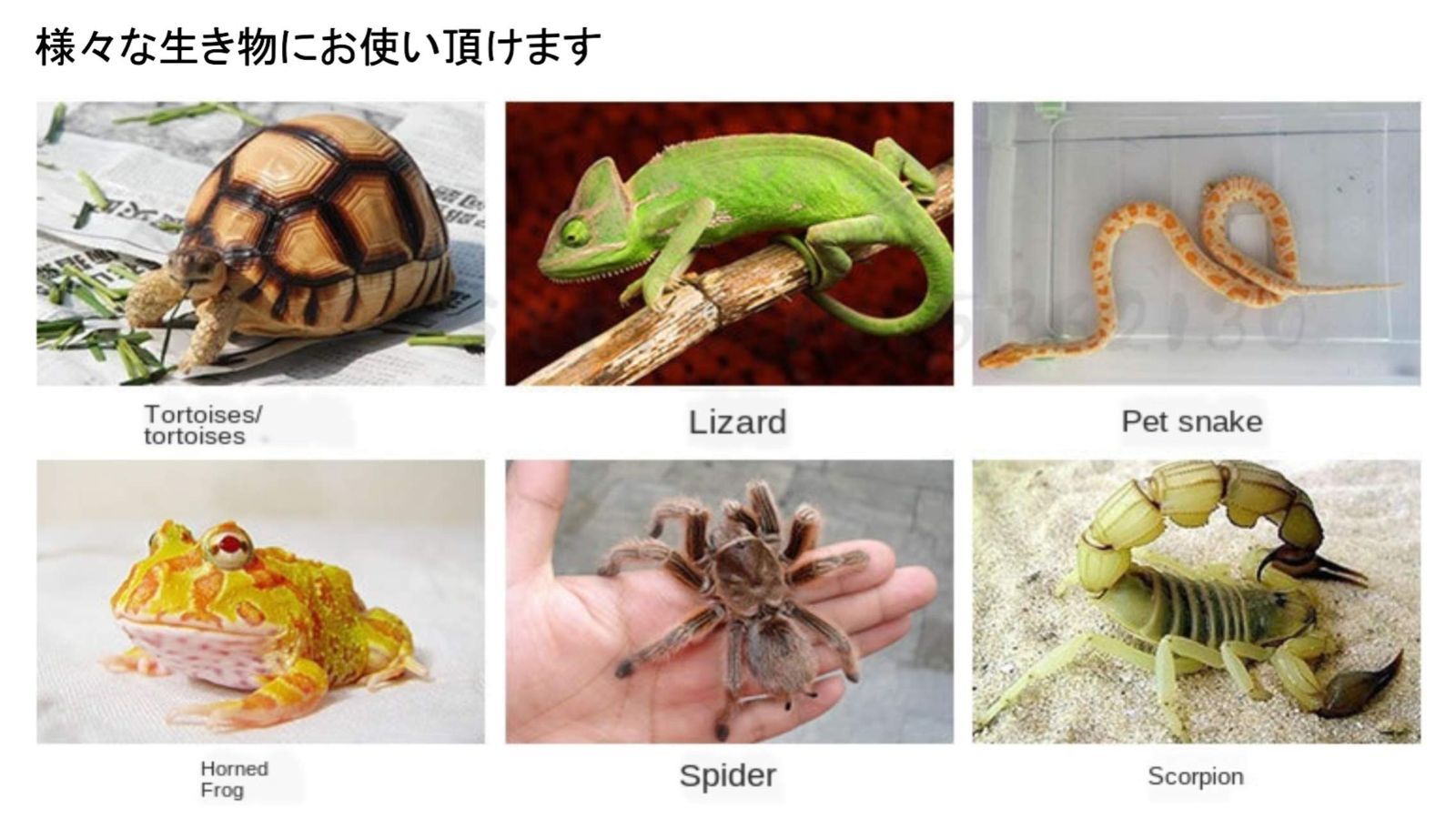 新品 隠れ家 水槽 ひなたぼっこ 陸地 ケージ シェルター 足場 新品 隠れ家 水槽 ひなたぼっこ 陸地 ケージ シェルター 足場
