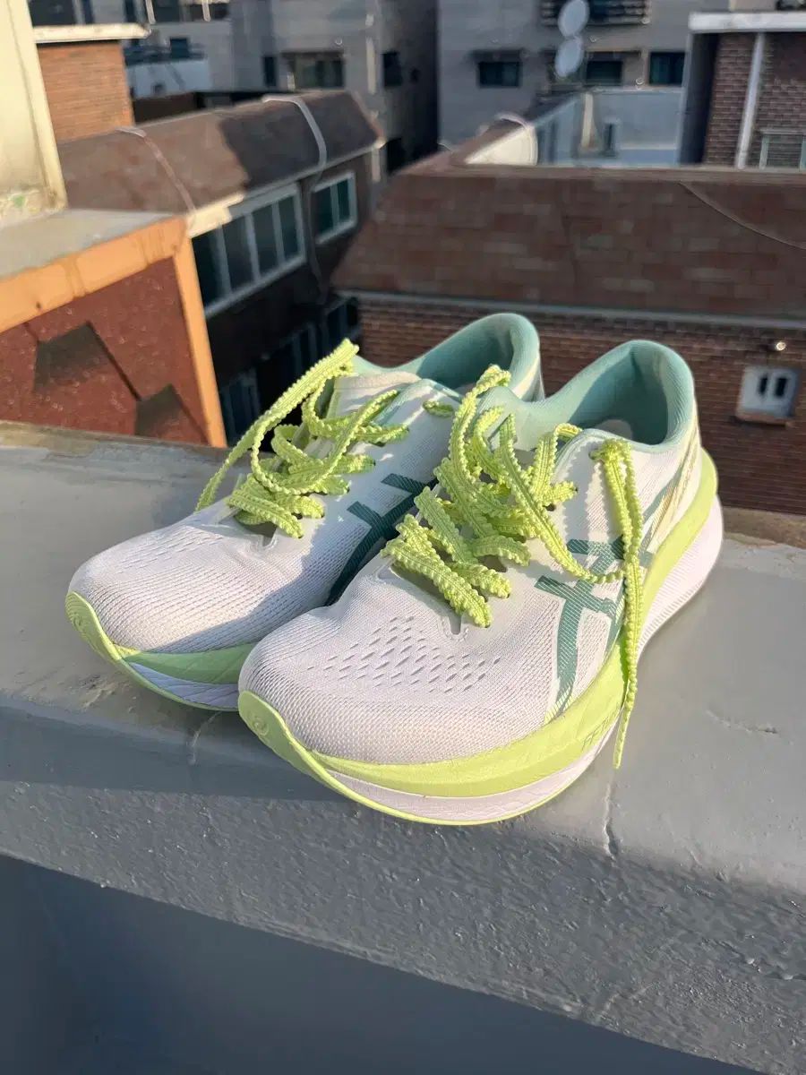 Asics アシックス マジックスピード 4 250mm