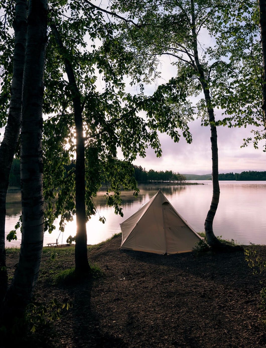 MORNING GLORY TC キャンプテント 専用】MORNING GLORY TC ベージュ