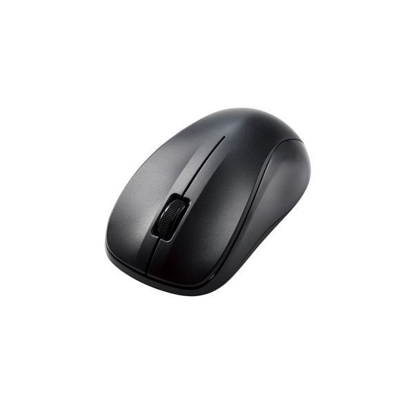 ぴかり様専用】 エゾライチョウの剥製 木製台座付き