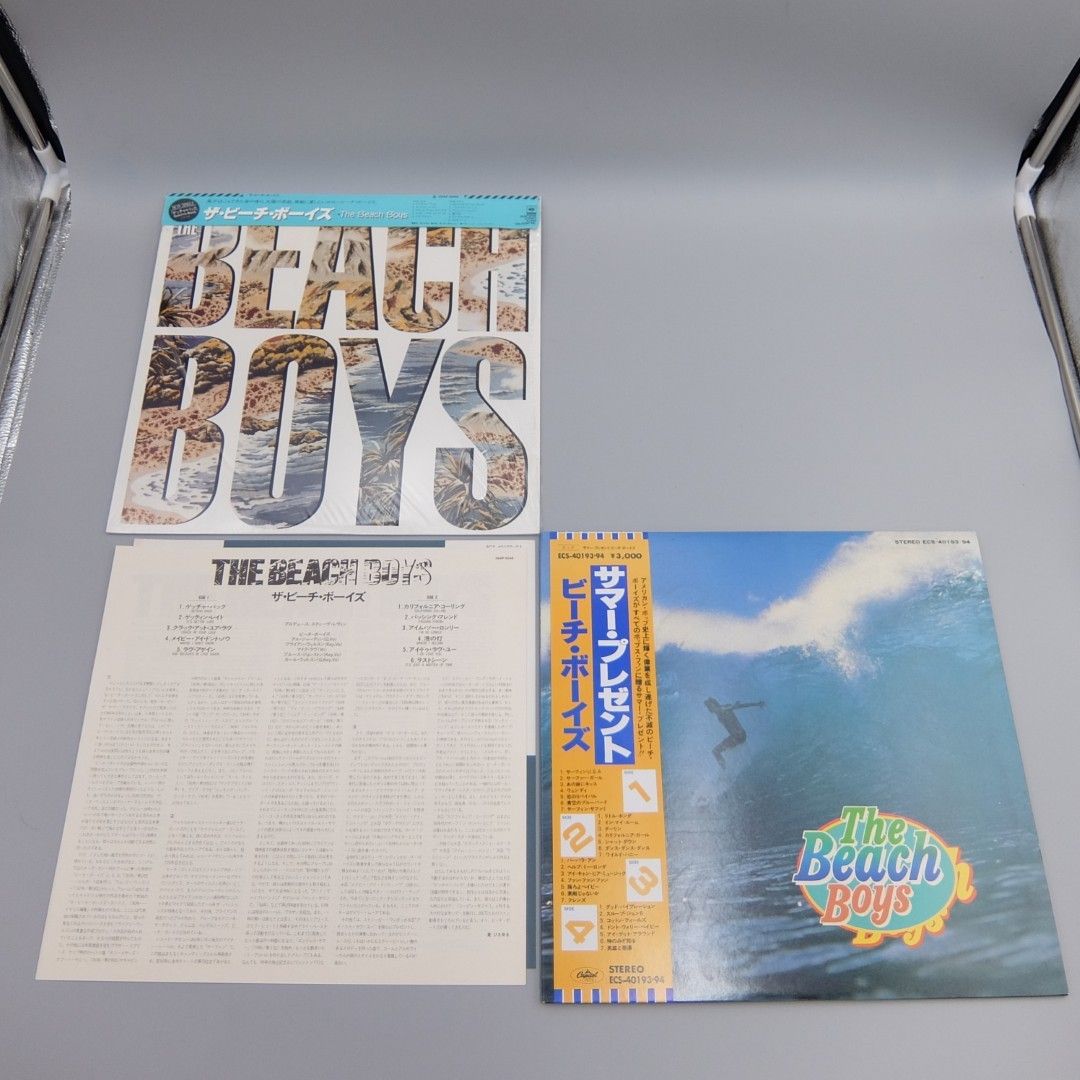 レア盤］ブロンディ・チャップリンLPレコード ビーチボーイズ