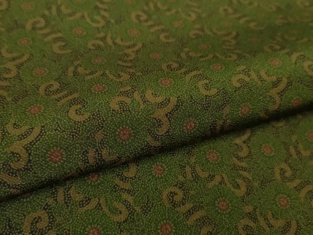 古代菊 DZAA9397kh5