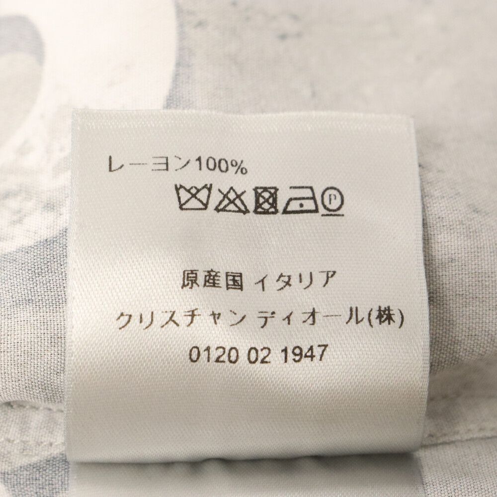 DIOR (ディオール) 20SS×Daniel Arsham ダニエルアーシャム キャンバス 