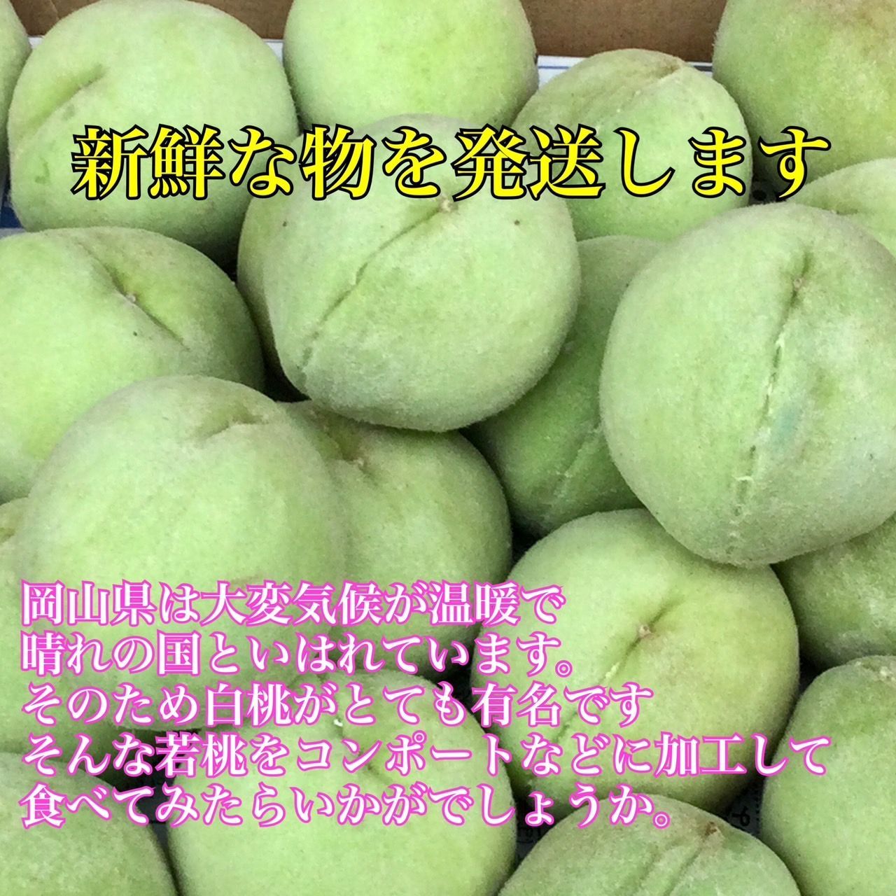 確認用　今季初収穫！清水白桃の若桃　4.5kg