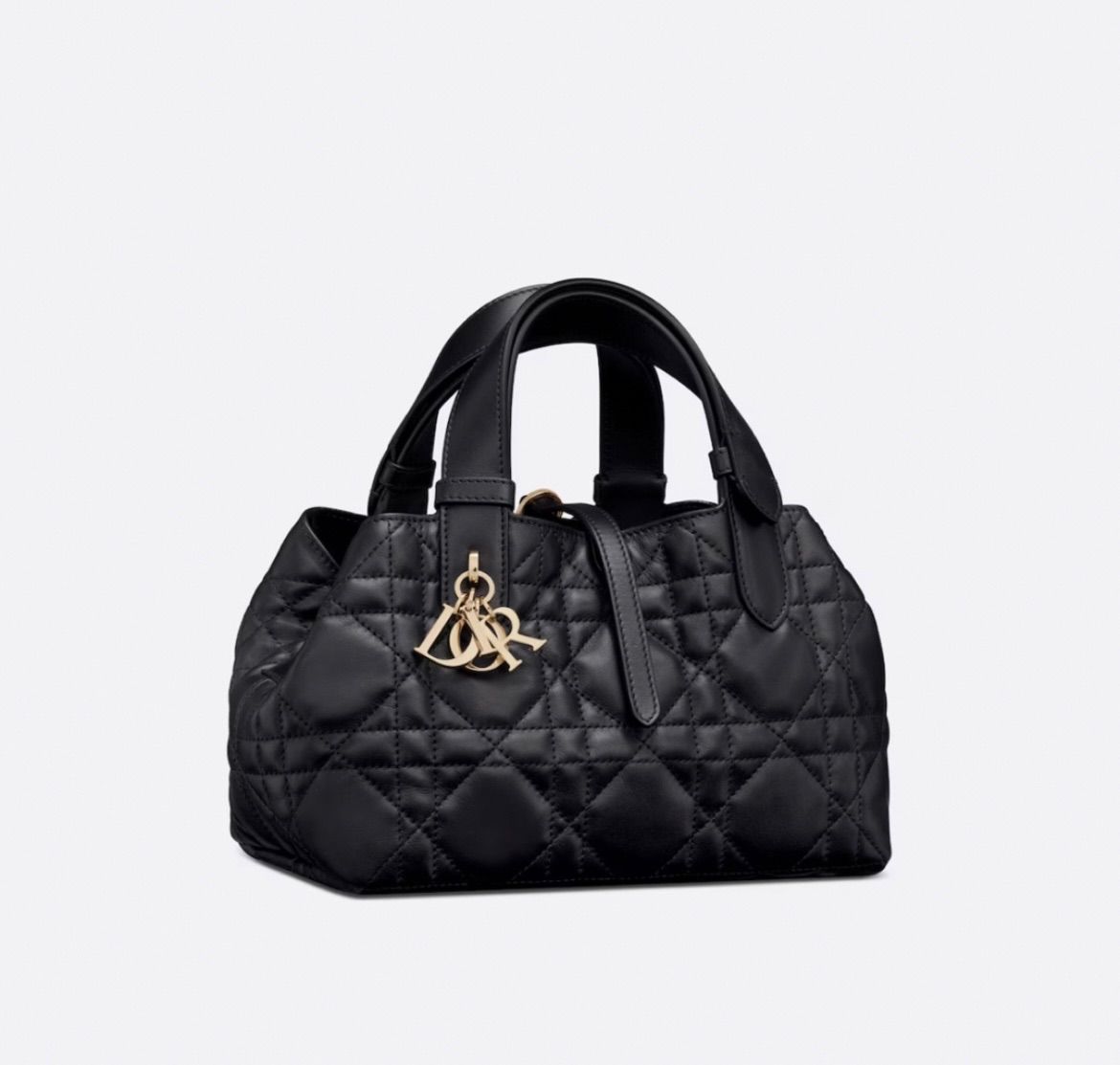 新品 定価以下 Christian Dior ディオール DIOR TOUJOURS バッグ