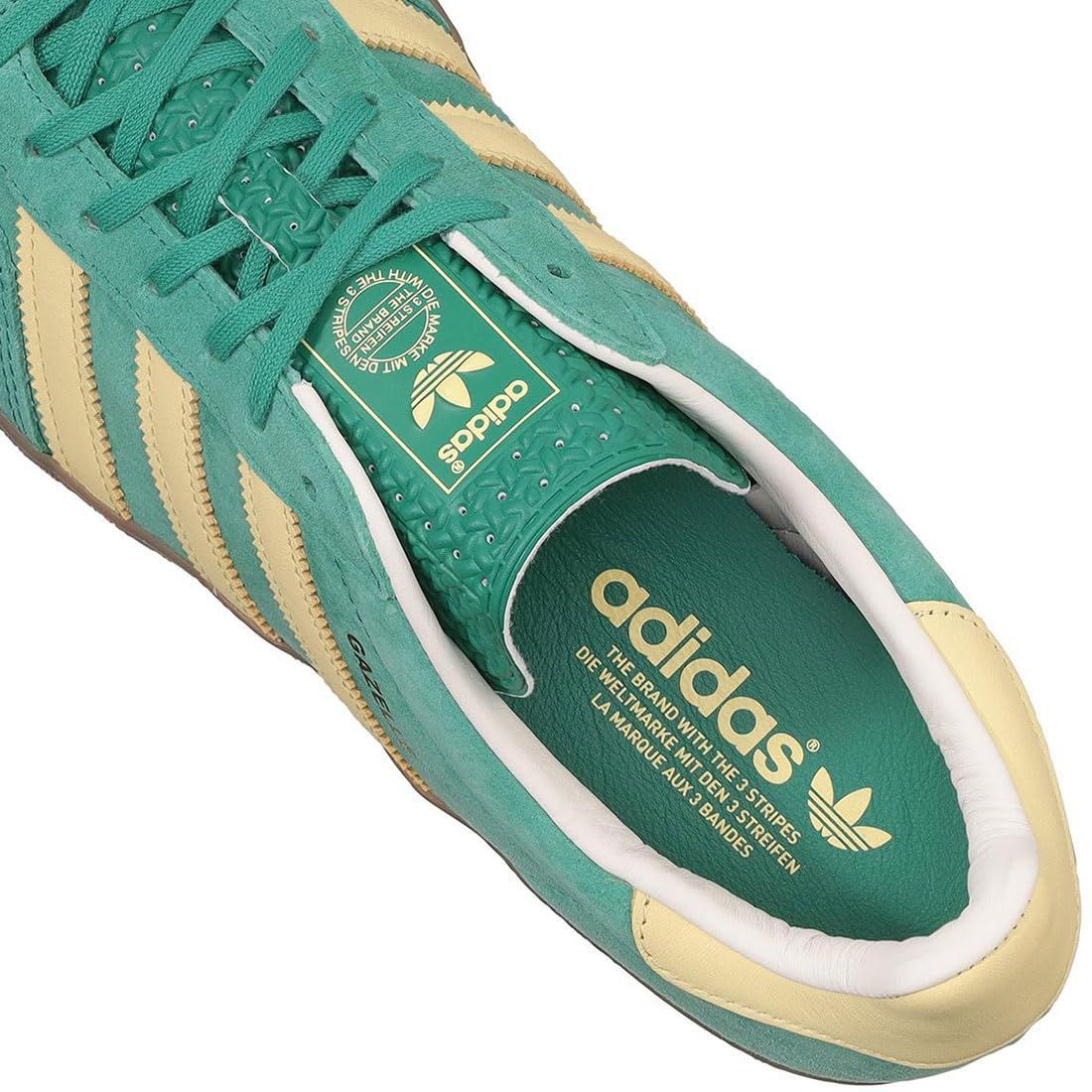 GAZELLE INDOOR