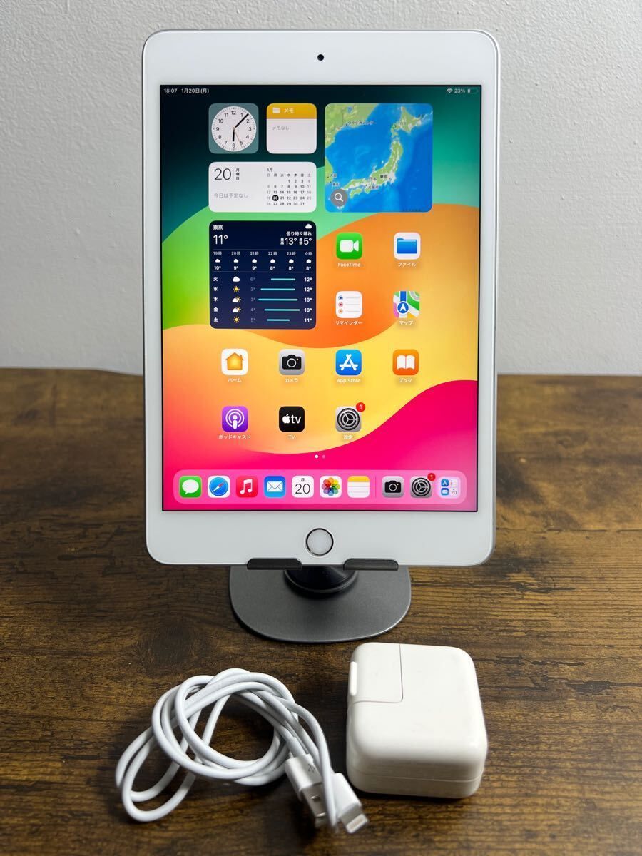[美品]Apple iPad mini5/256GB/SIMフリー/Wi-Fi+Cellular/電池健康81.3%/HW165