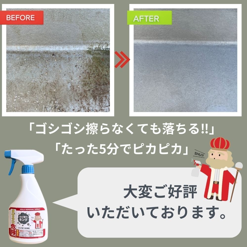 カビ取りキング500ml×6本セット
