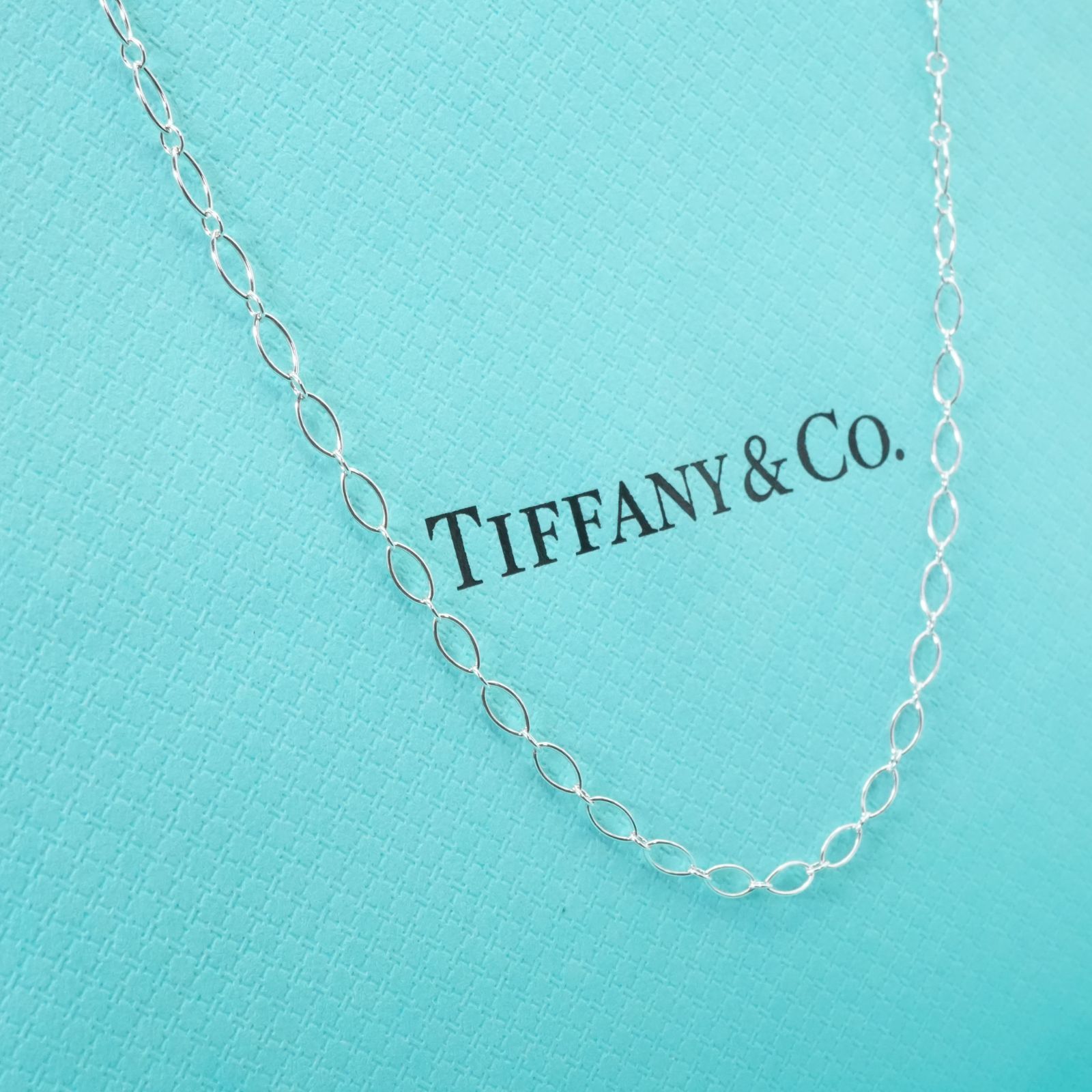 ✨極美品✨TIFFANY&Co.　ティファニー　希少　ネックレス　オーバルループ 極美品46cm ティファニー エリプス オーバルチェーン ネックレス