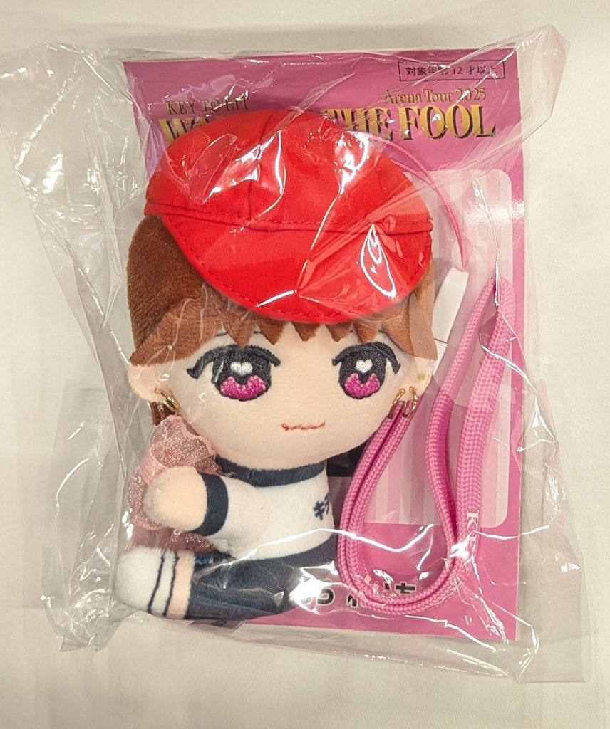 KEY TO LIT 中村嶺亜 WAKE UP THE FOOL 3点セット KEY TO LIT 25年WAKE UP THE FOOL 中村嶺亜 くっつきてれつ