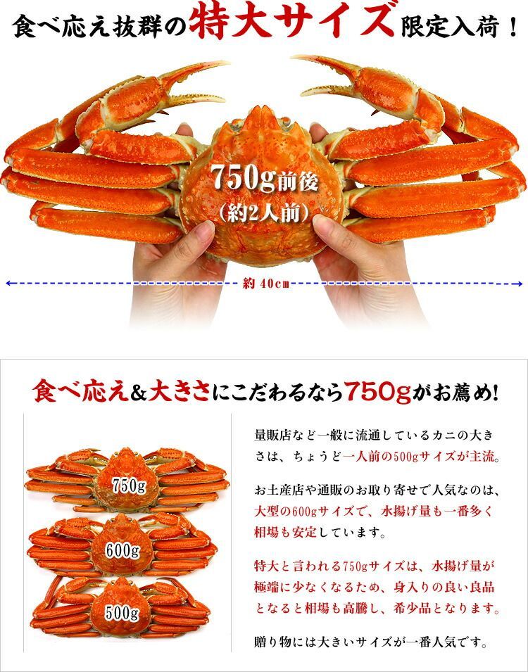 北海道産 冷凍 毛ガニ（特大）約750g×2尾