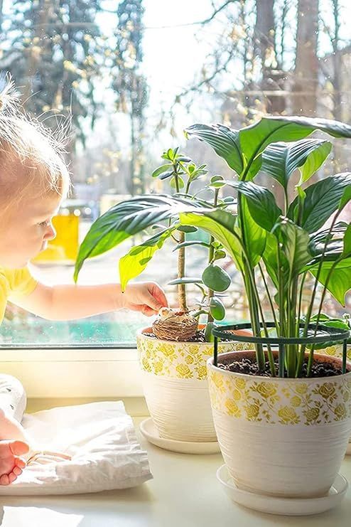 bardsxgfg(あき) 園芸支柱 植物支柱 花ささえ スライド支柱 T形
