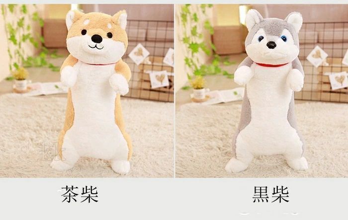いぬ