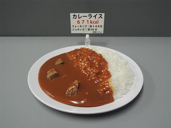 日本職人が作る 食品 カロリー表示付き カレーライス IP-545
