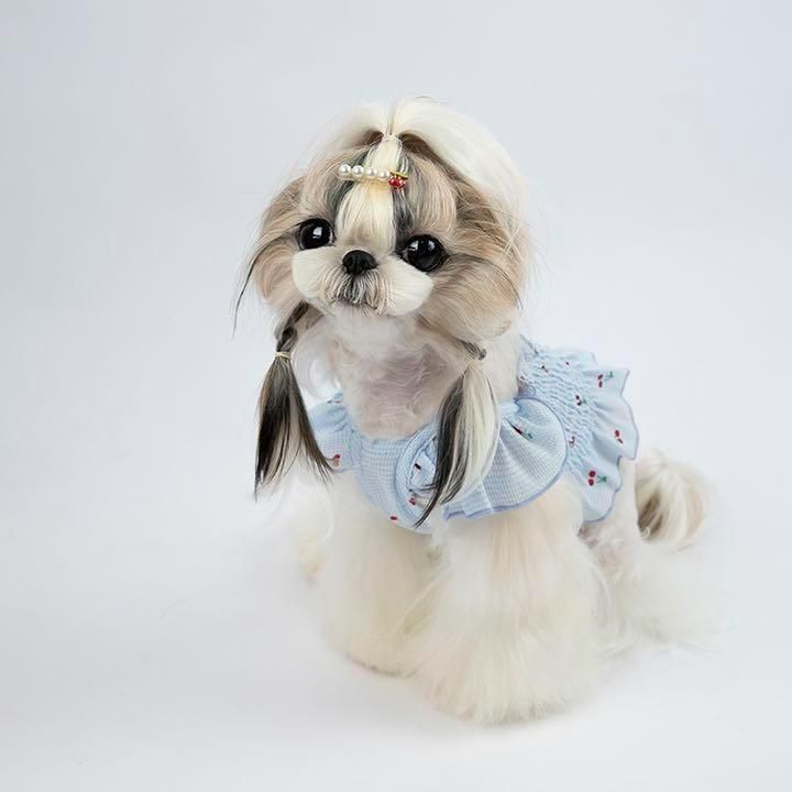 ペット服 犬服 さくらんぼ柄シャーリングミニ丈ワンピース ブルー