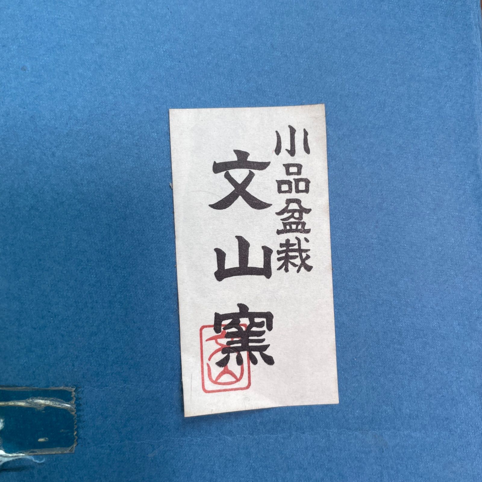 小品盆栽 文山窯 4点セット 508 - メルカリ