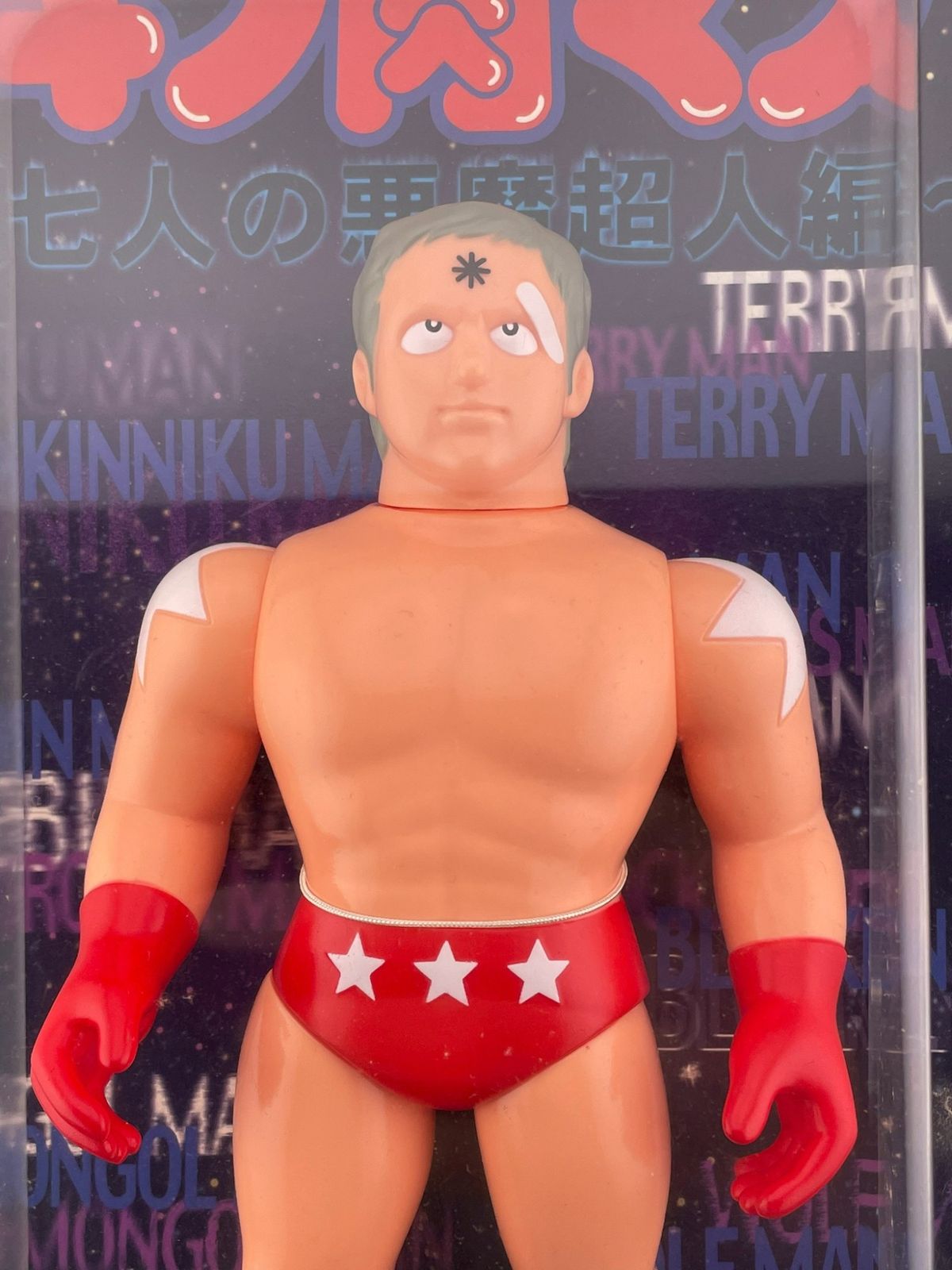 【中古品】　25周年シリーズ　テリーマン　キン肉マン　ゆでたまご　東映アニメ 中古品】25周年シリーズテリーマンキン肉マンゆでたまご東映アニメ