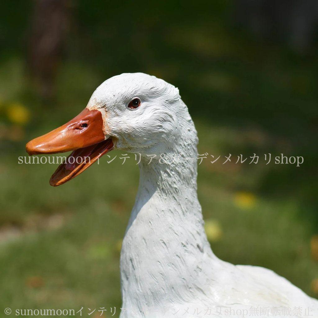 おしゃれ かわいい