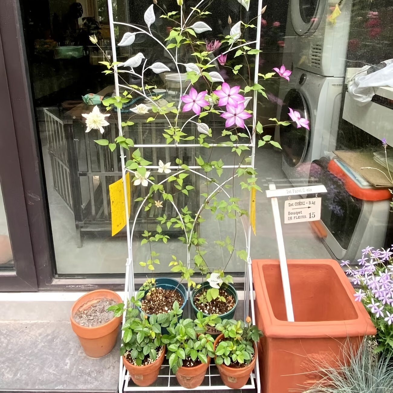 仕切り