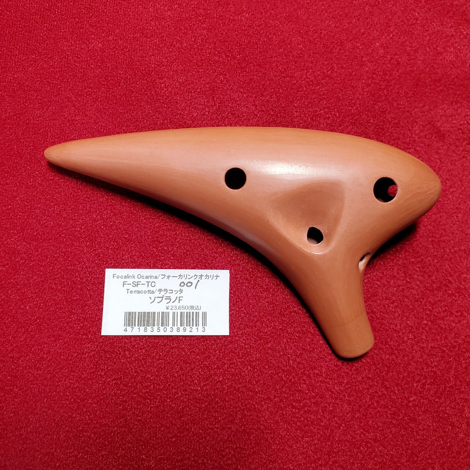 フォーカリンク テラコッタ SF フォーカリンク テラコッタ SF
