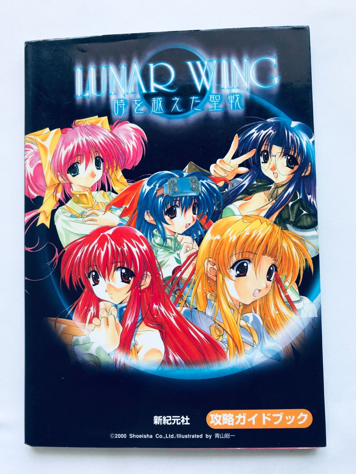 脊髄病理学 橋詰良夫 吉田眞理 脊髄病理学 [単行本（ソフトカバー