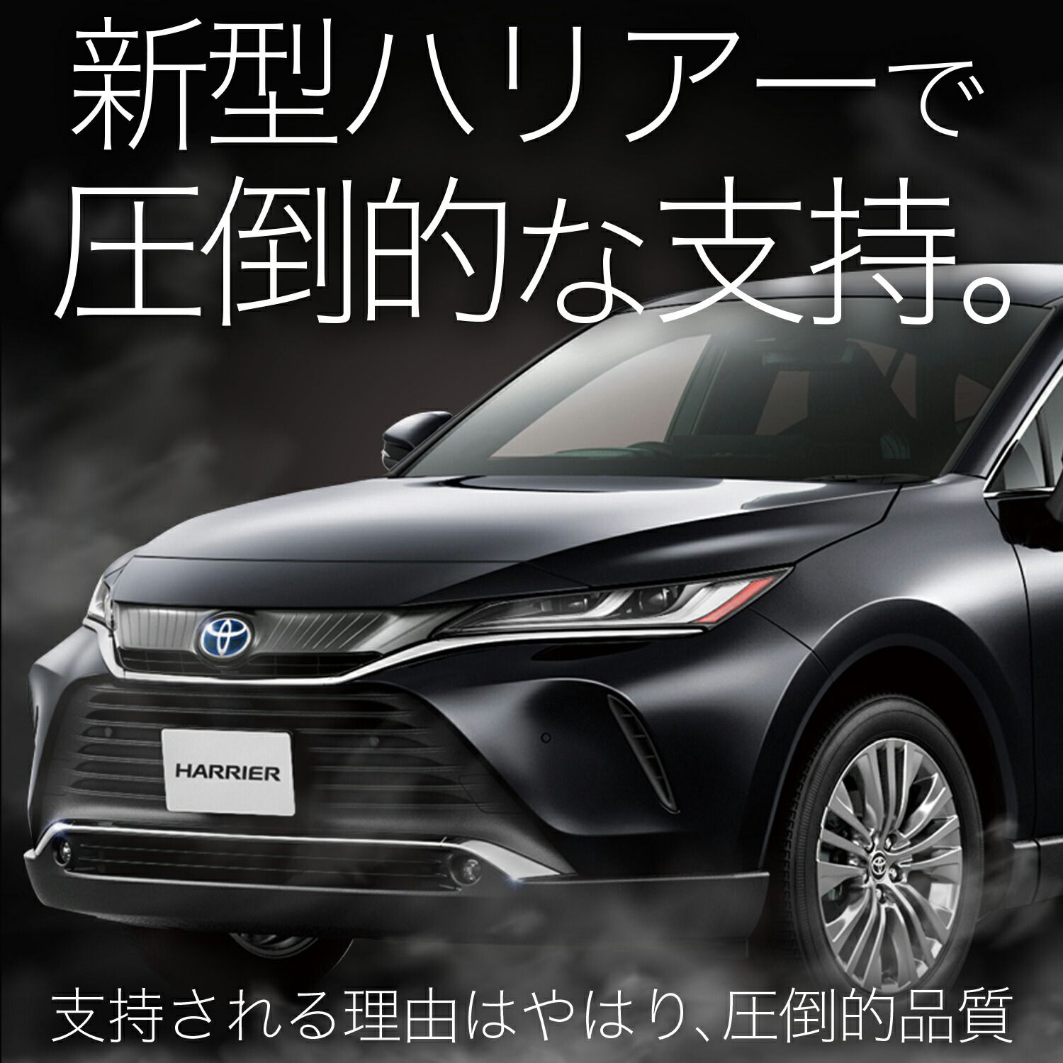 ブラック 厚地