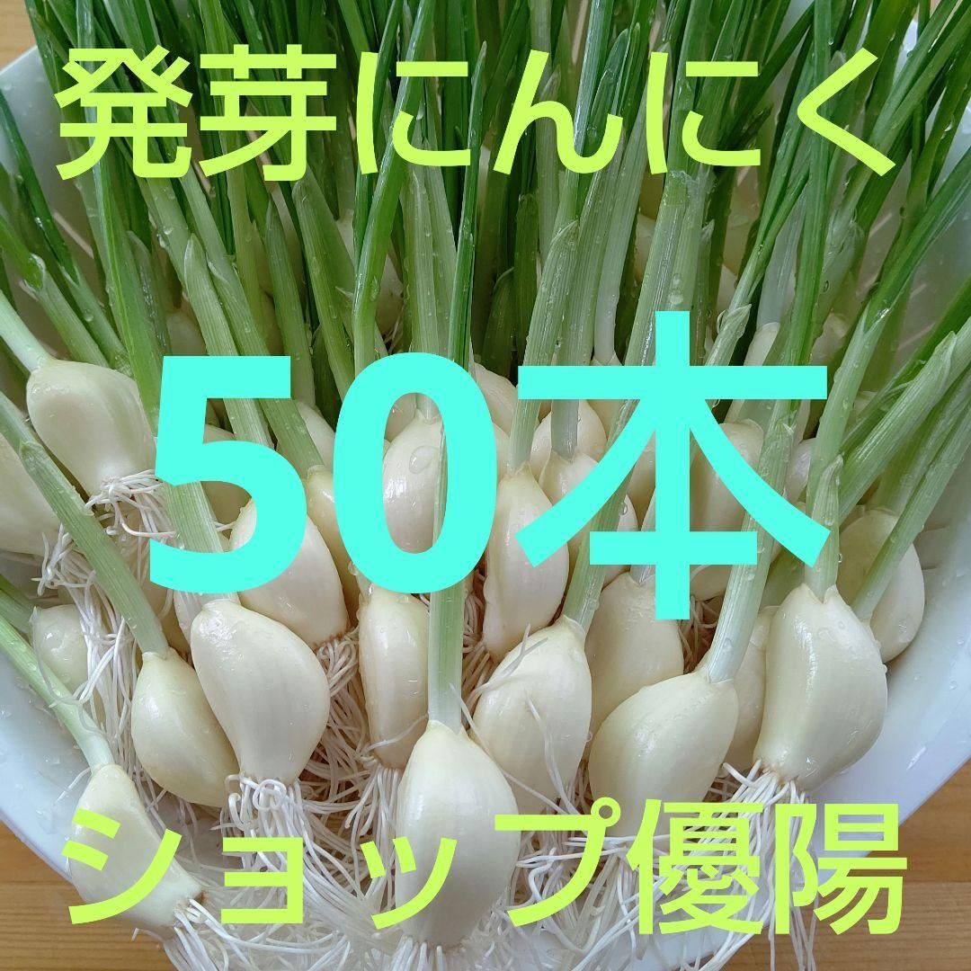 2 発芽にんにくスプラウト 小粒60本プラス！ - 野菜