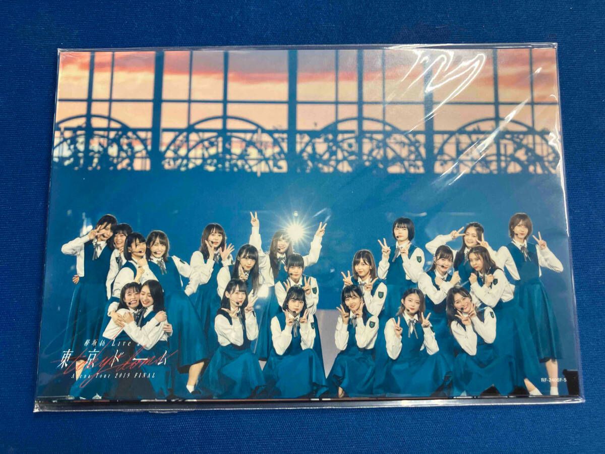 欅坂46/LIVE at 東京ドームARENA TOUR 2019 FINAL 欅坂46 LIVE at 東京ドーム ～ARENA TOUR 2019 FINAL～【初回