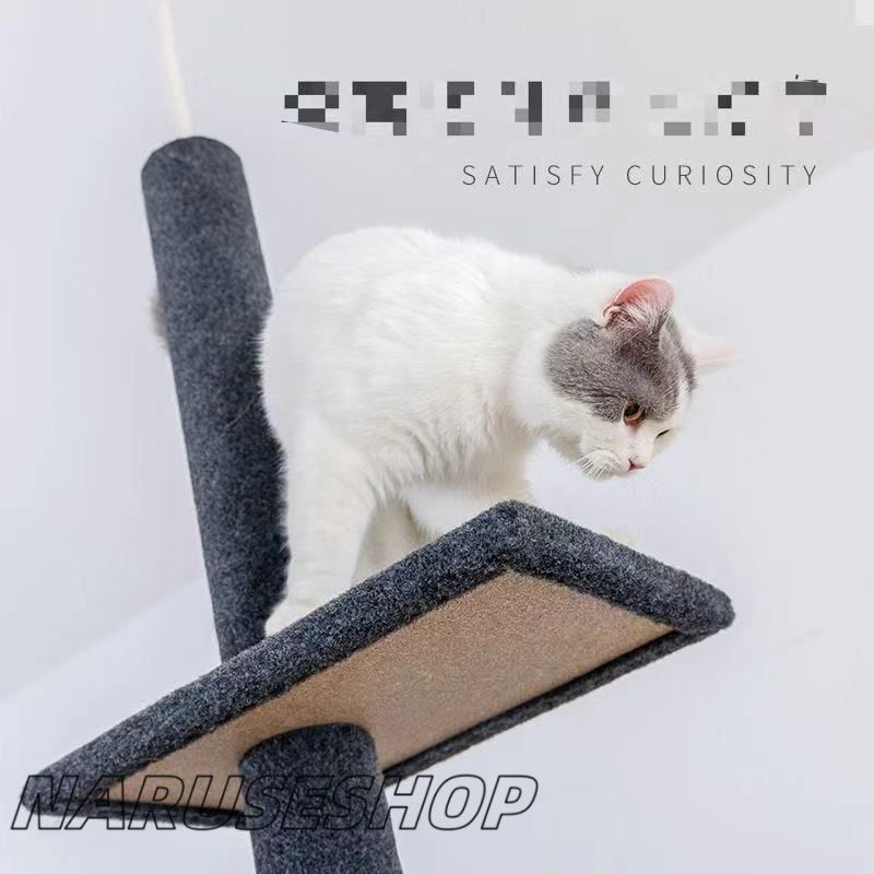 大好評
