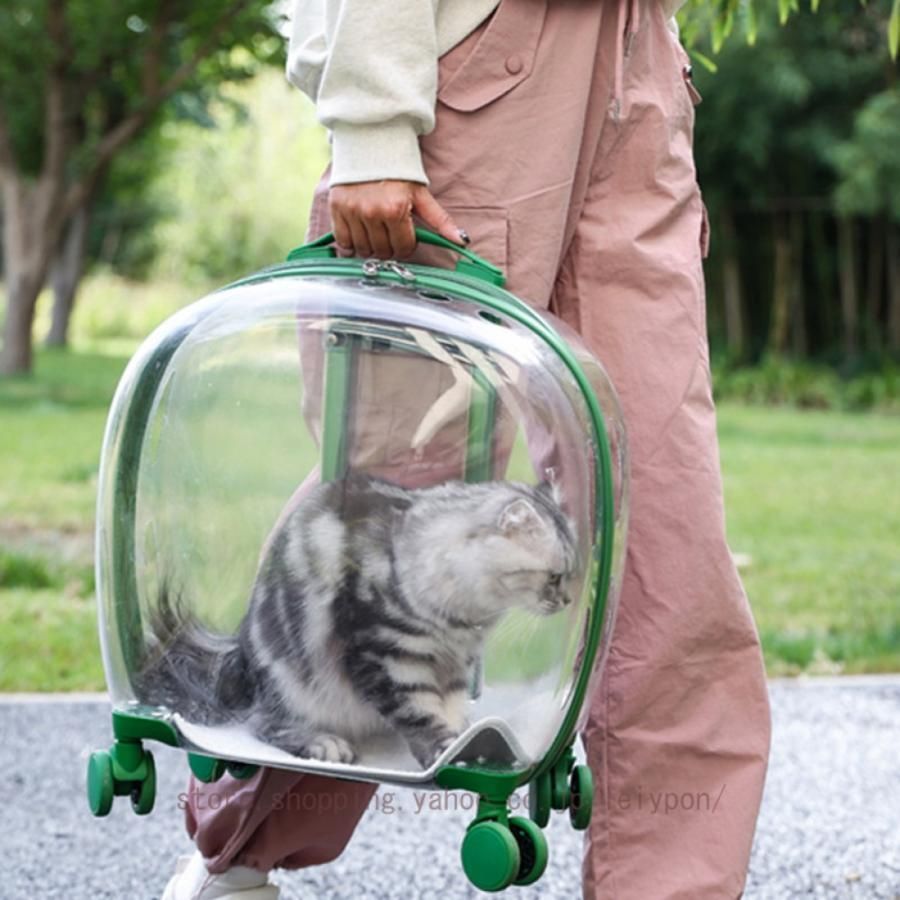 うさぎ