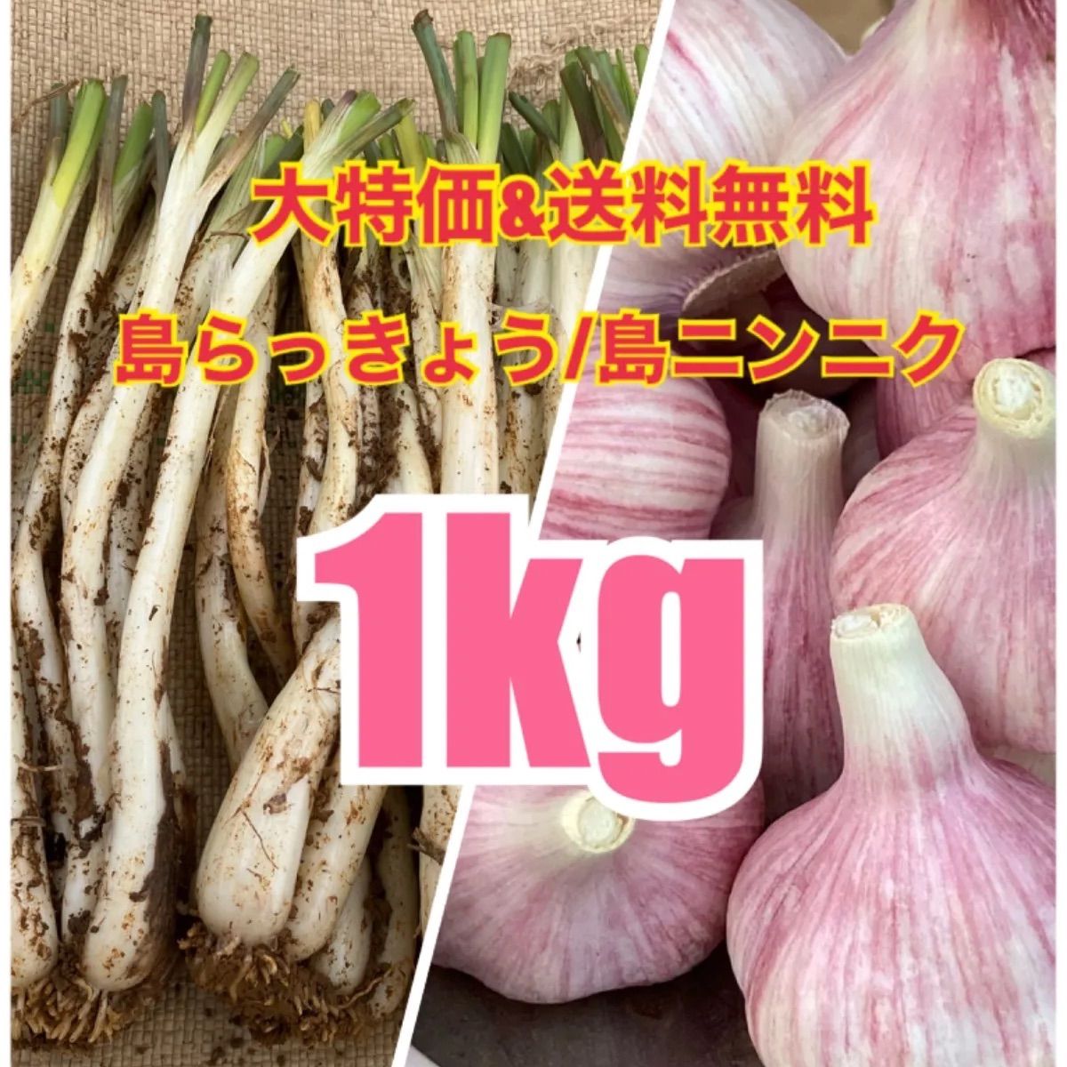 沖縄 伊江島産 島らっきょう １キロ - 野菜