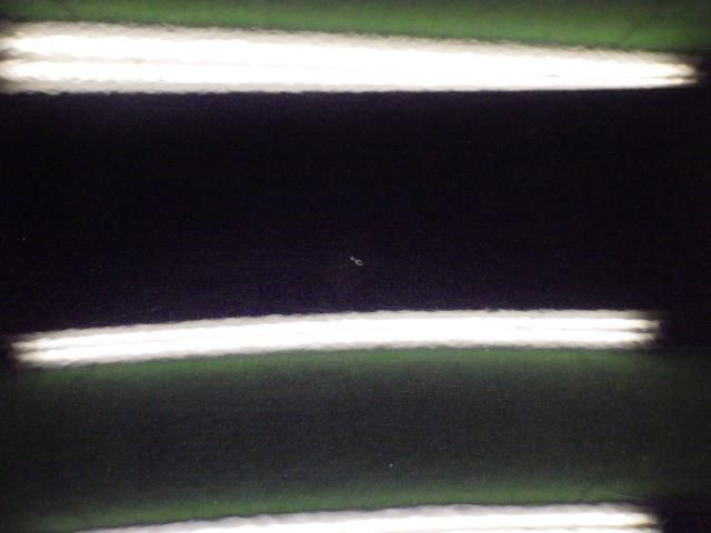 左Fフェンダー P17