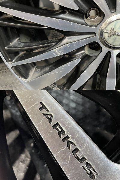 バドックス
