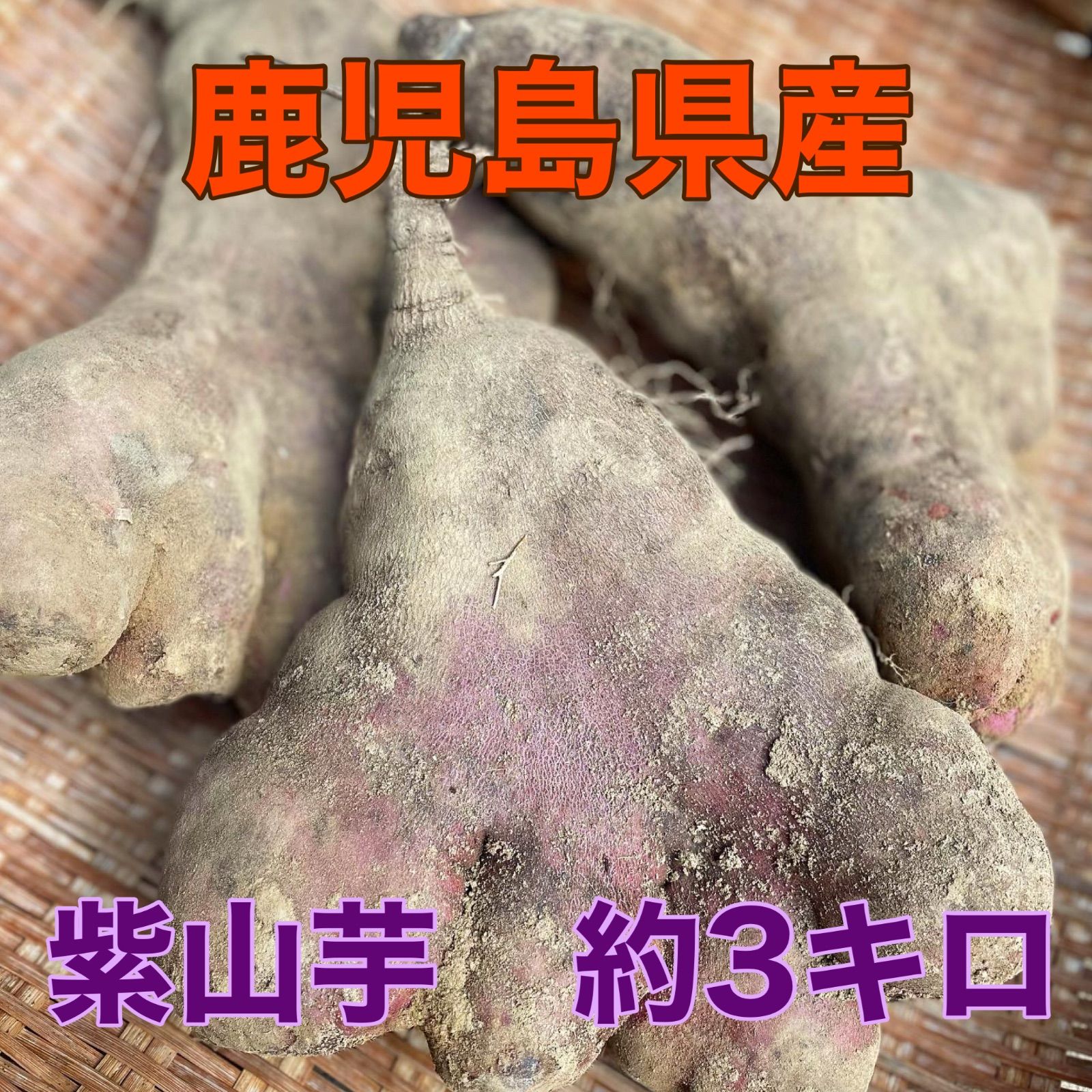 ⭐︎希少⭐︎鹿児島産紫山芋 約3kg 新品・未使用 - メルカリ