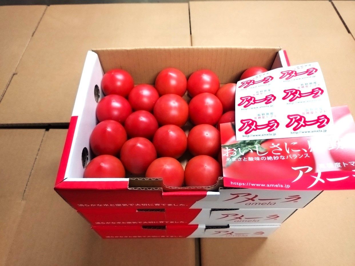 フルーツトマト アメーラ小玉 3箱セット