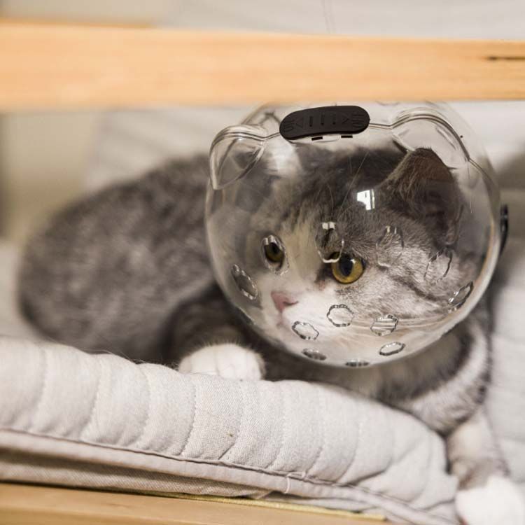 猫の爪切り補助マスク 猫カバー クリア ソフト 透明 舐め防止
