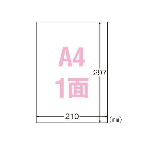 エーワン 屋外でも使えるサインラベルシール 31040 ホワイト 10枚