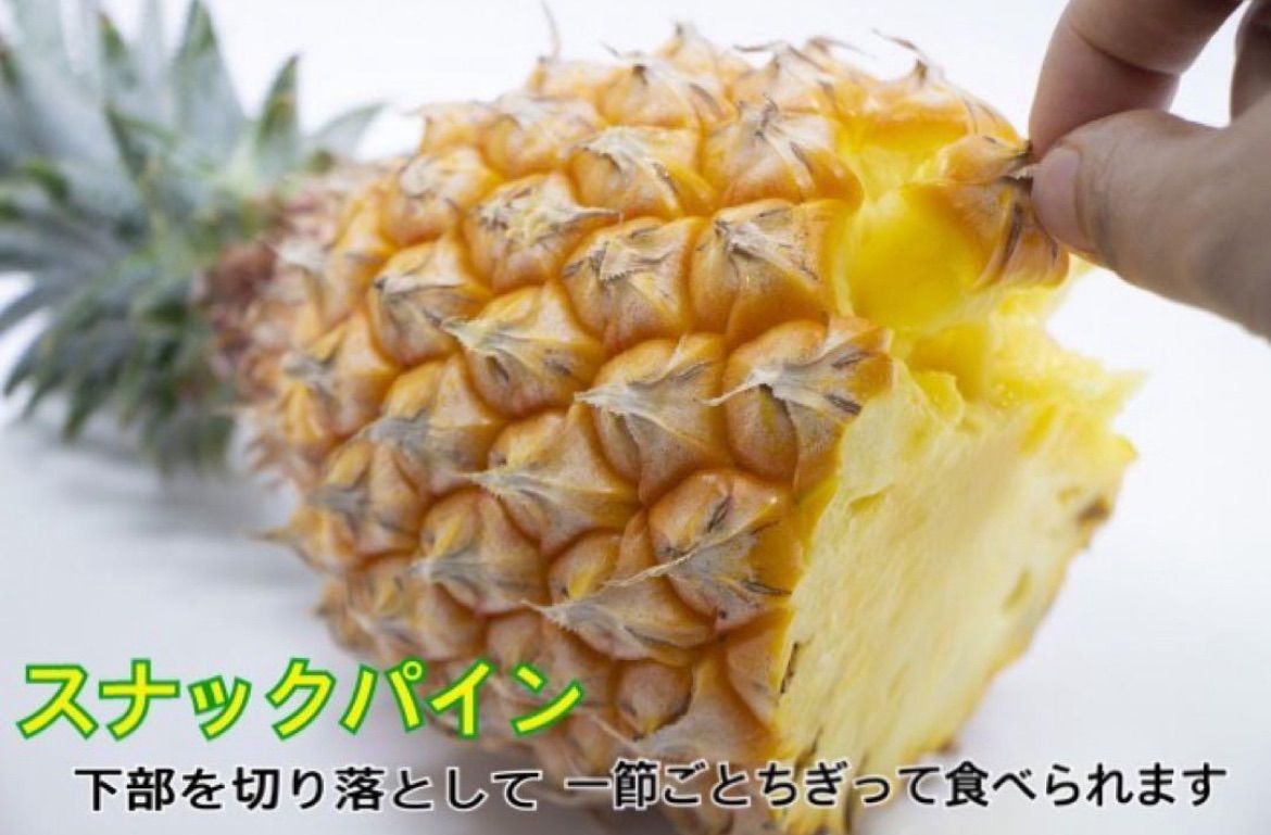 沖縄産 石垣島産スナックパイン ピーチパインミックス 計約10kg