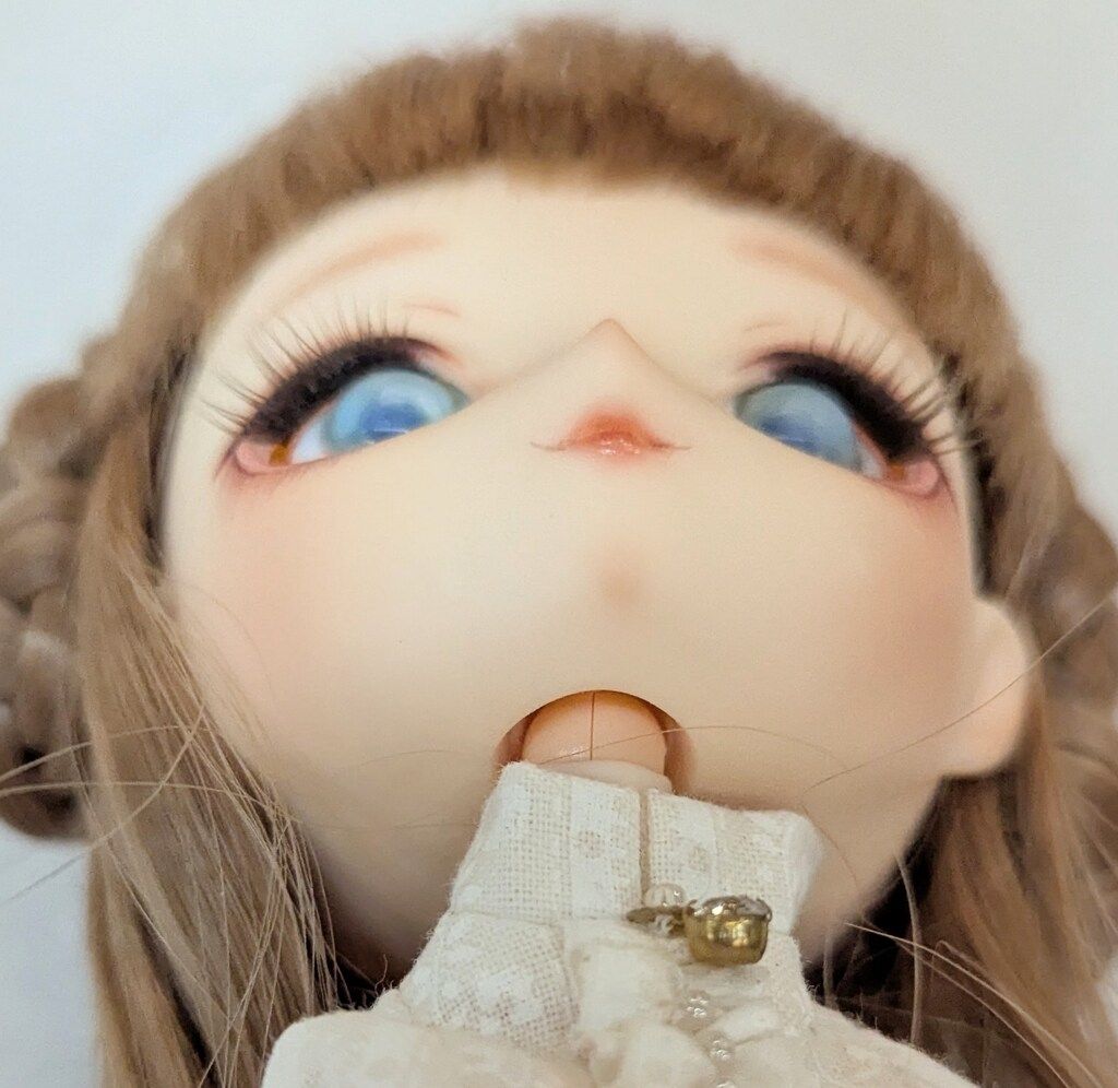 Harmonia Bloom