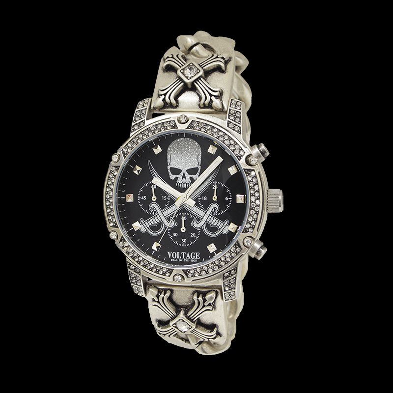 アガベ フェロックス錦 トニーズタイガー 大株 サルミアナ フェ