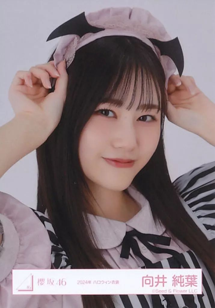 中古】生写真(乃木坂46) 向井純葉/バストアップ/櫻坂46ランダム生写真