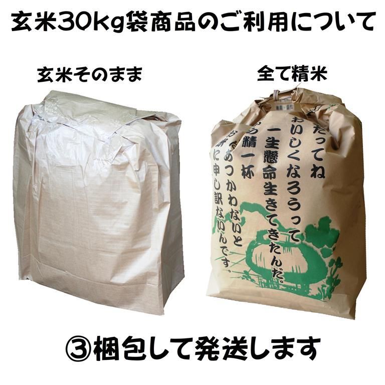 5年産 西の横綱「仁多米」玄米30kg 島根県仁多郡奥出雲町産