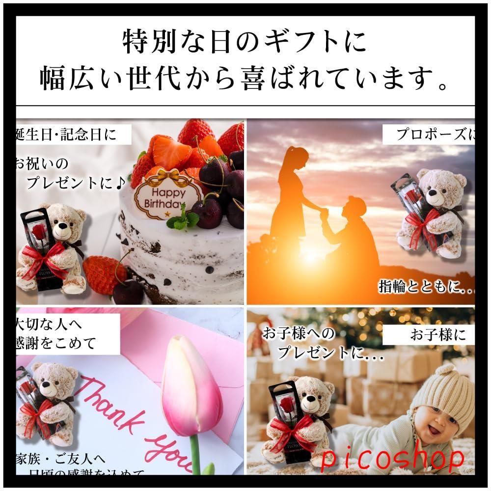 クマさんと一輪の薔薇